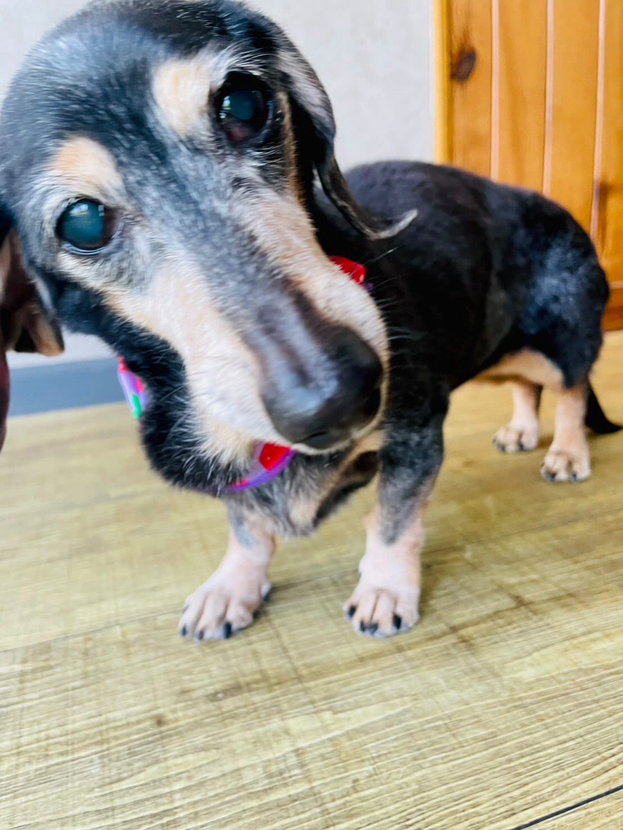 アイナちゃんの写真2